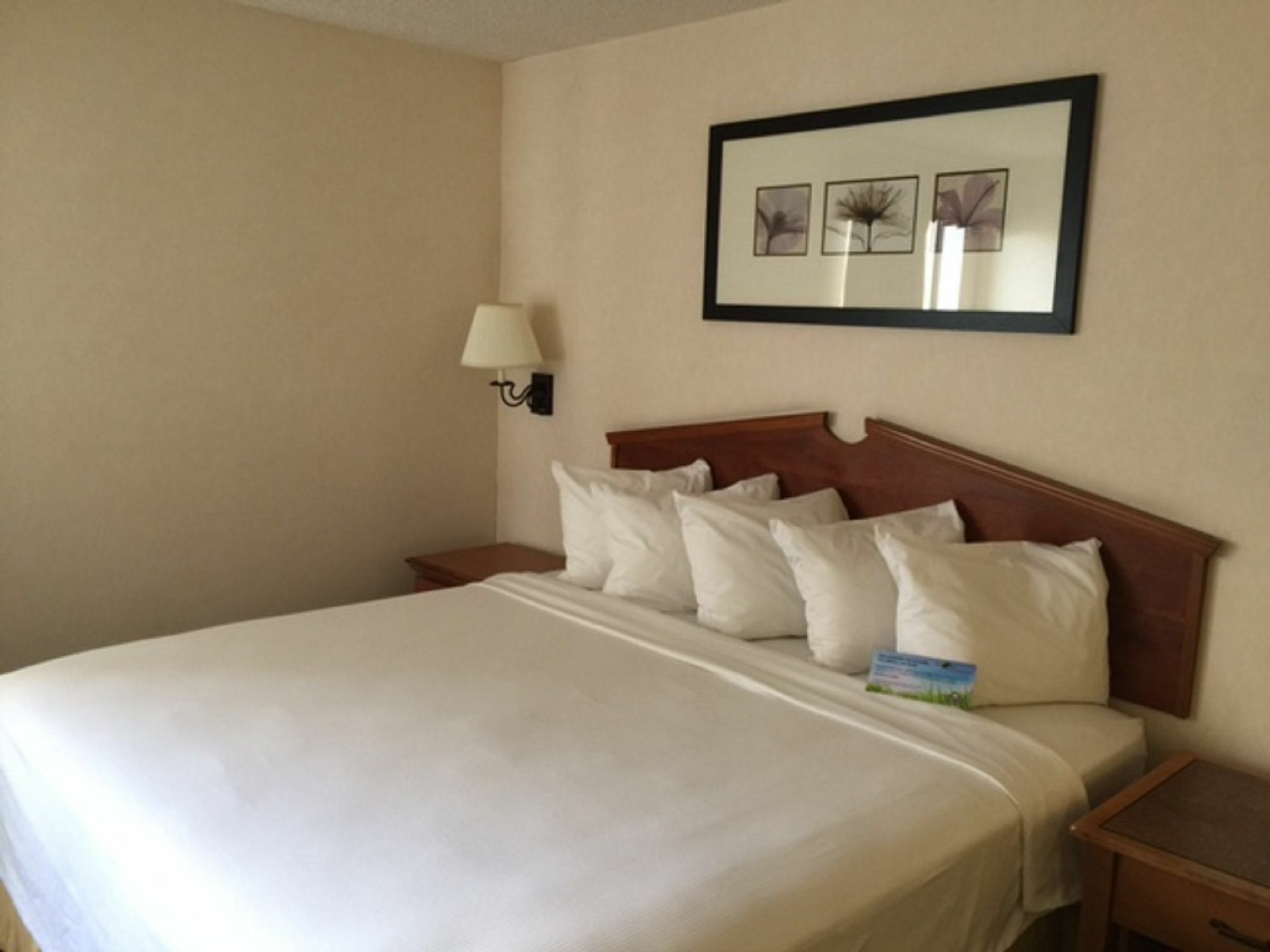 Days Inn & Suites By Wyndham Denver International Airport Exteriör bild